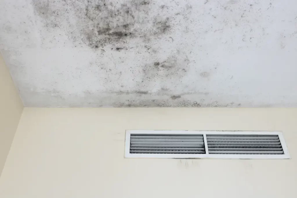 Air Purifier Mold: Understanding the Risks and Solutions Air Purifier Mold