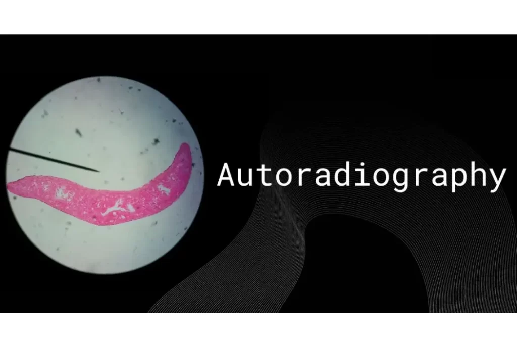 Autoradiography: Imaging Technique for Radioactive Tracers Autoradiography