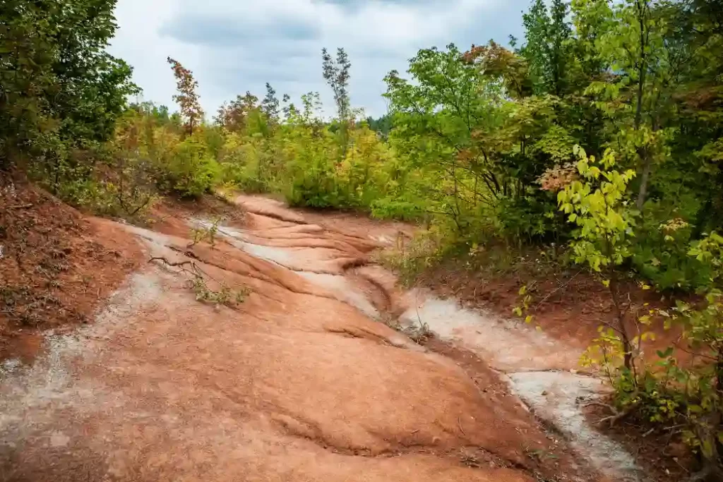 Overgrazing: Threats to Ecosystem Health and Sustainability Overgrazing 1