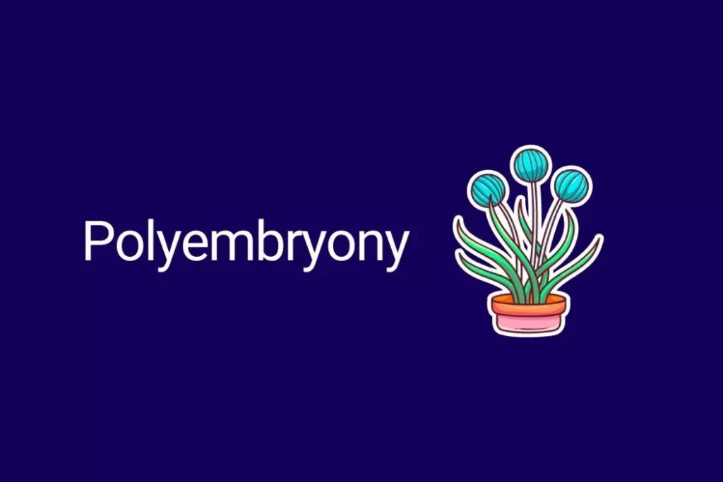 Polyembryony 1