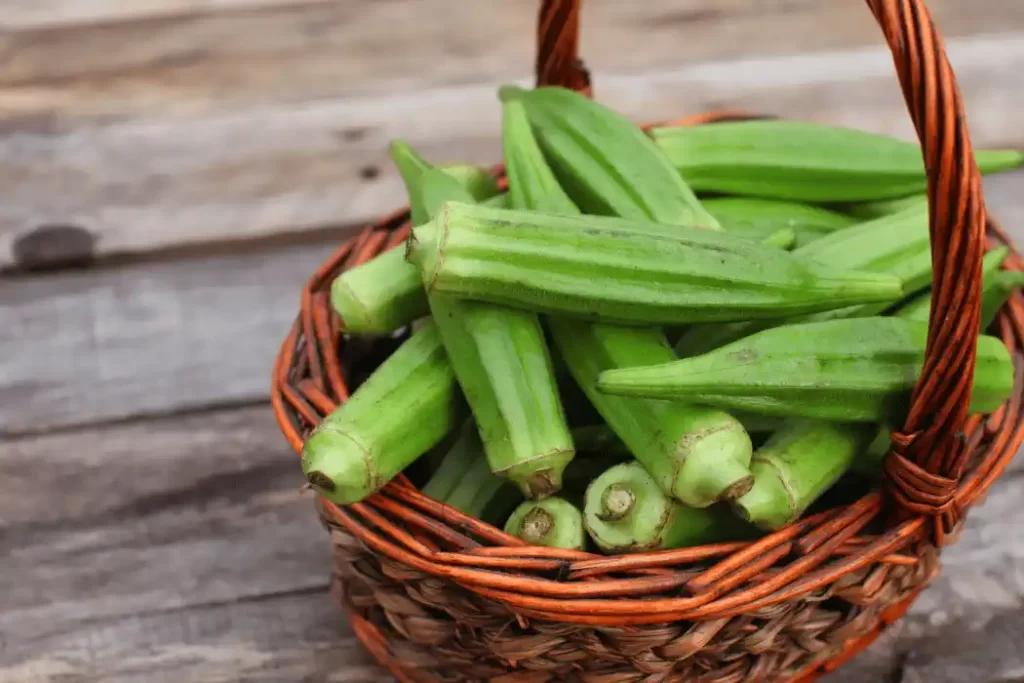 Okra Water: Your Path to Improved Digestion and Vitality Okra Water