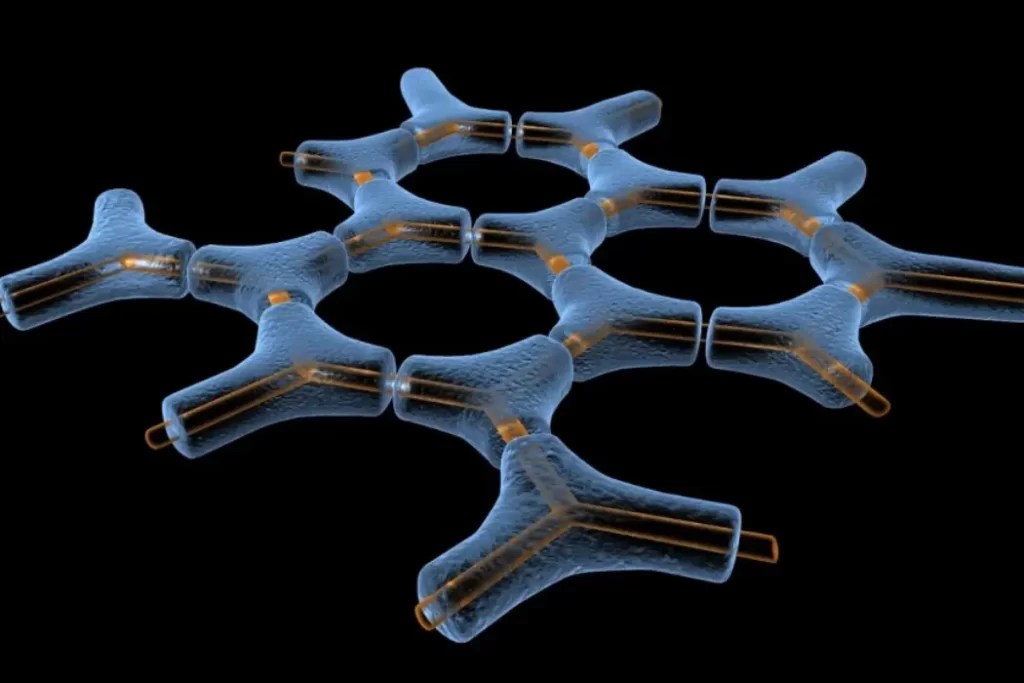 Sclerenchyma: The Fibrous Support System in Plant Architecture Sclerenchyma 1