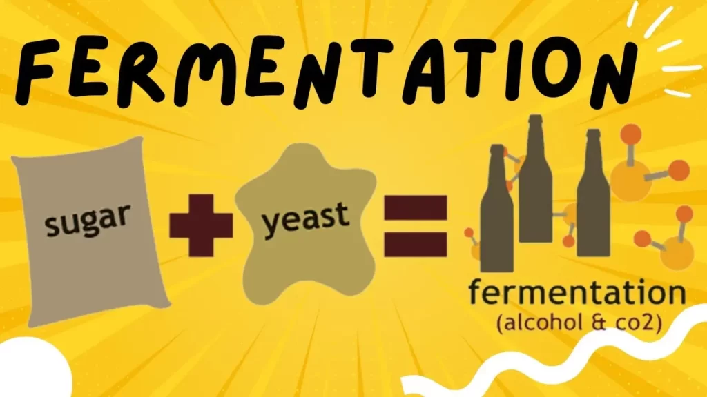Continuous fermentation