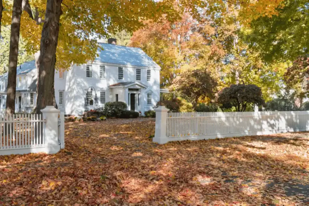 Homestead Security 1