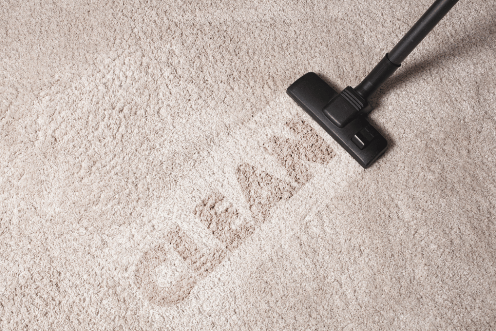 Green Carpet Cleaning: Eco-Friendly Solutions for a Clean Home Carpet (1)