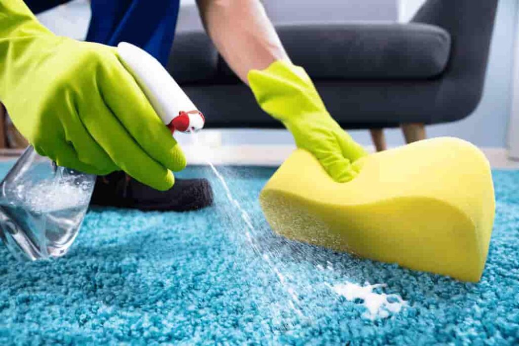 Carpet Cleaning: Mastering the Art of Refreshing Floors Carpet Cleaning (3)