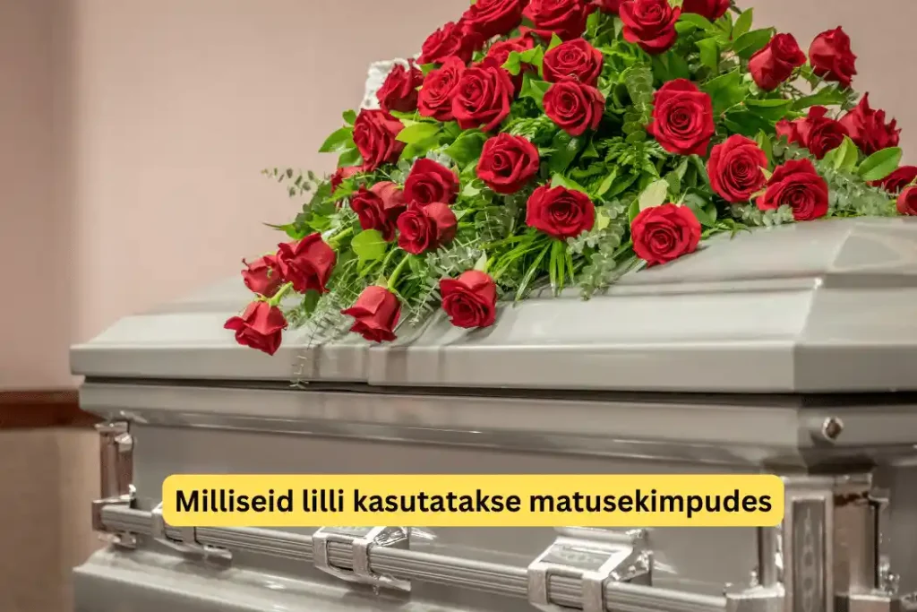 Milliseid lilli kasutatakse matusekimpudes (1)